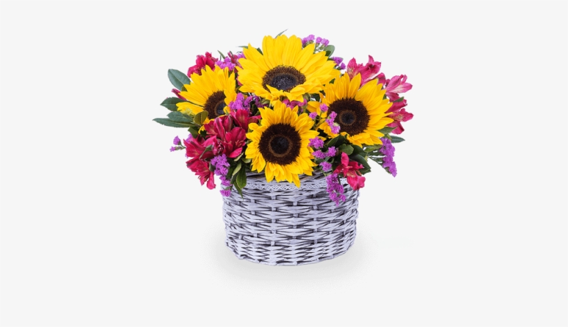 Impulso De Alegría - Flower, transparent png download