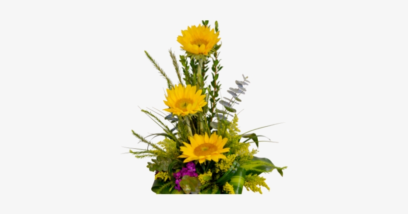 Detalle De Girasol - Flower, transparent png download