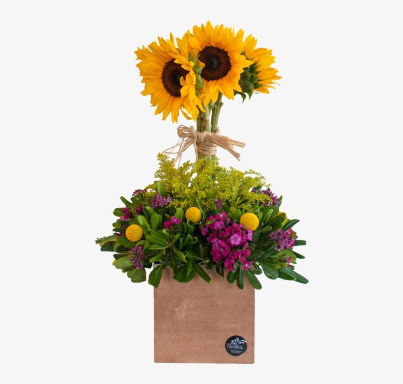 Árbol De Girasoles - Sunflower, transparent png download