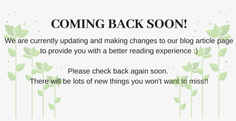 We Will Be Right Back - Ode A Berlusconi, transparent png download