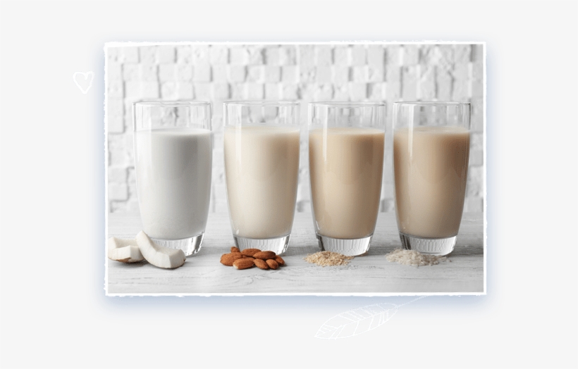 What Our Dreams Are Made Of - Chocolate Milk, transparent png download