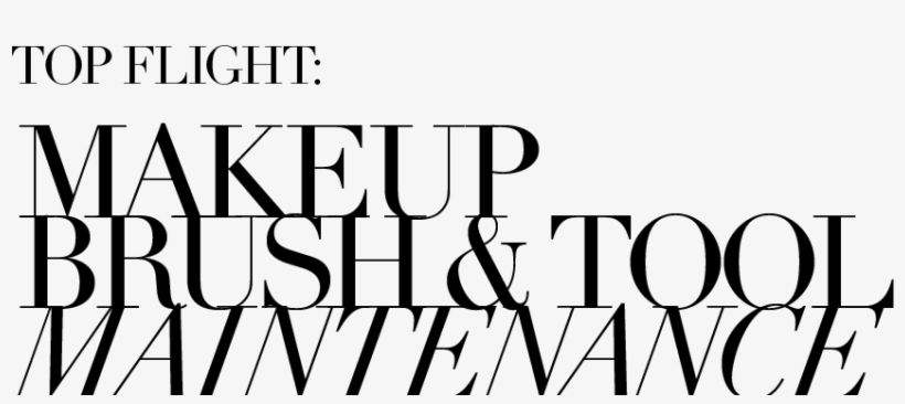 New York & Company, transparent png download