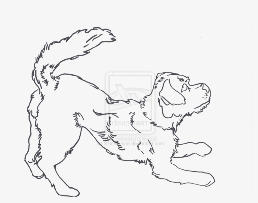 Drawn Pice Dog - Contour Line Drawing Of Dog, transparent png download