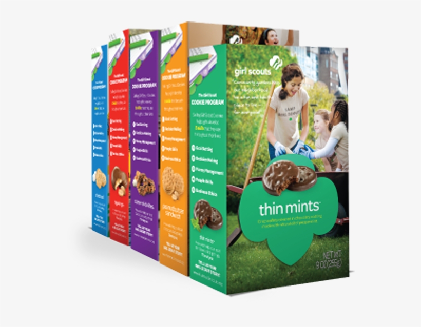 It's The Most Wonderful Time Of The Year, And This - Girl Scout S'mores Cookie 1 Box, transparent png download