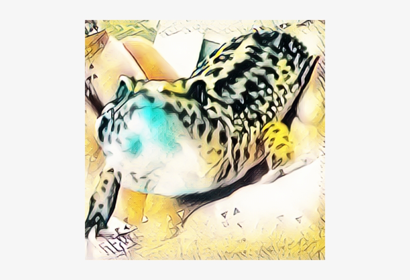 Animal, transparent png download