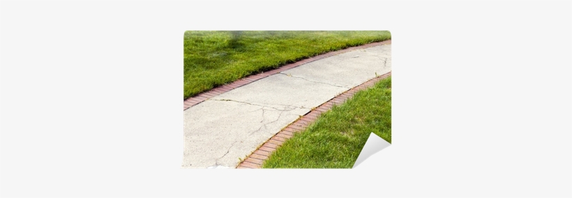 Sidewalk, transparent png download