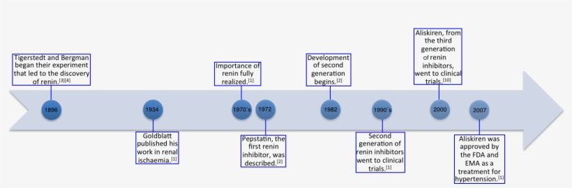 Renin Inhibitor Timeline - Direct Renin Inhibitor, transparent png download