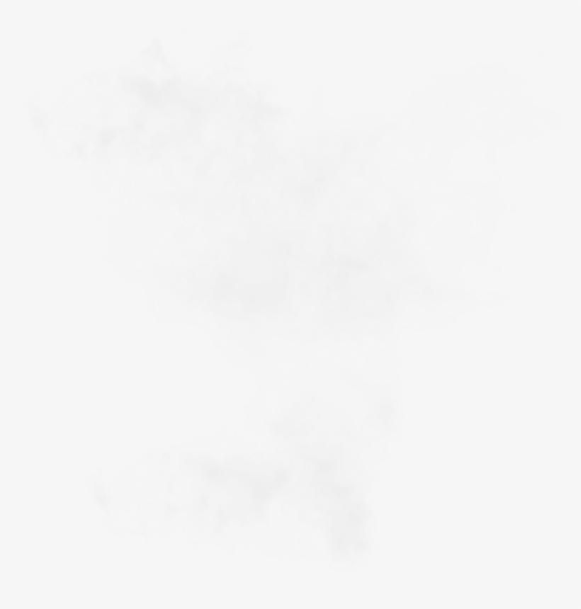 Eaf Fog Sc - Snow, transparent png download