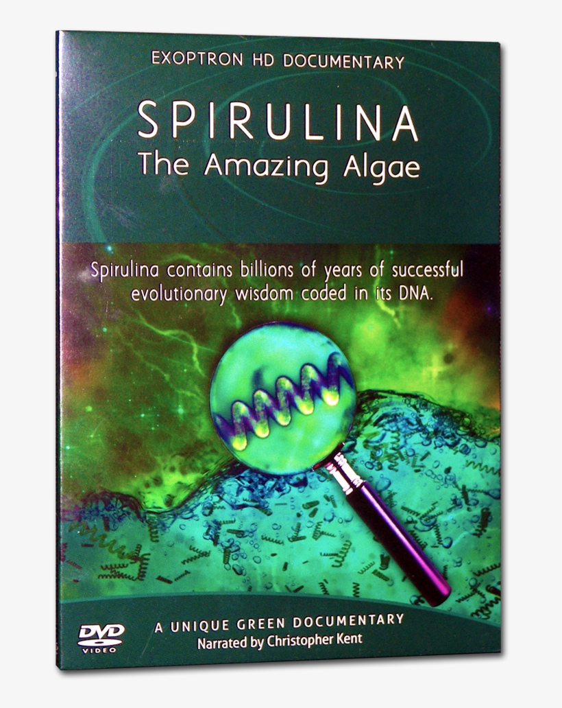 Dvd On Digifile - Dvd, transparent png download