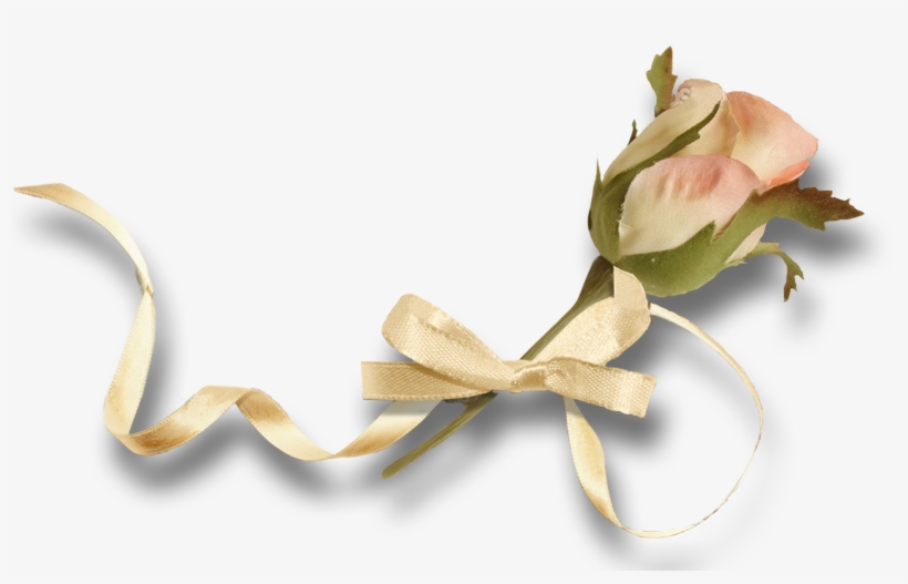 Vintage Rose - Garden Roses, transparent png download