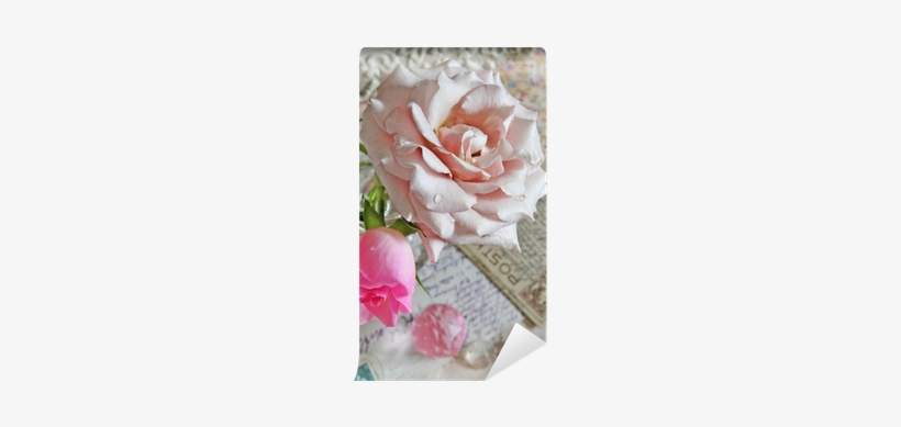 Hybrid Tea Rose, transparent png download