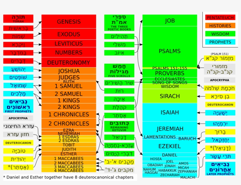 Open - Many Books In The Old Testament, transparent png download