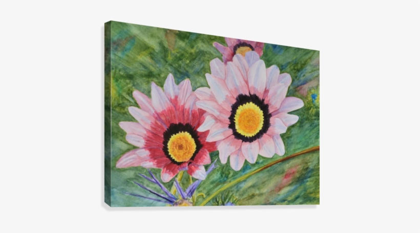 Two Daisies Canvas Print - Gazania, transparent png download