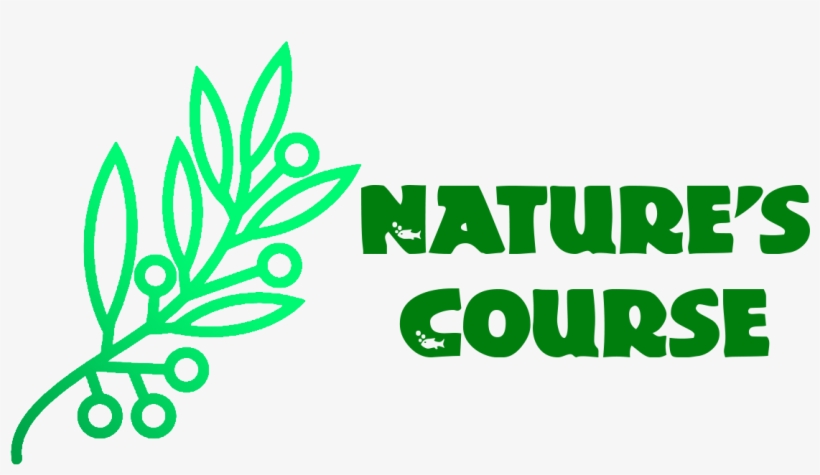 Logo Font, transparent png download