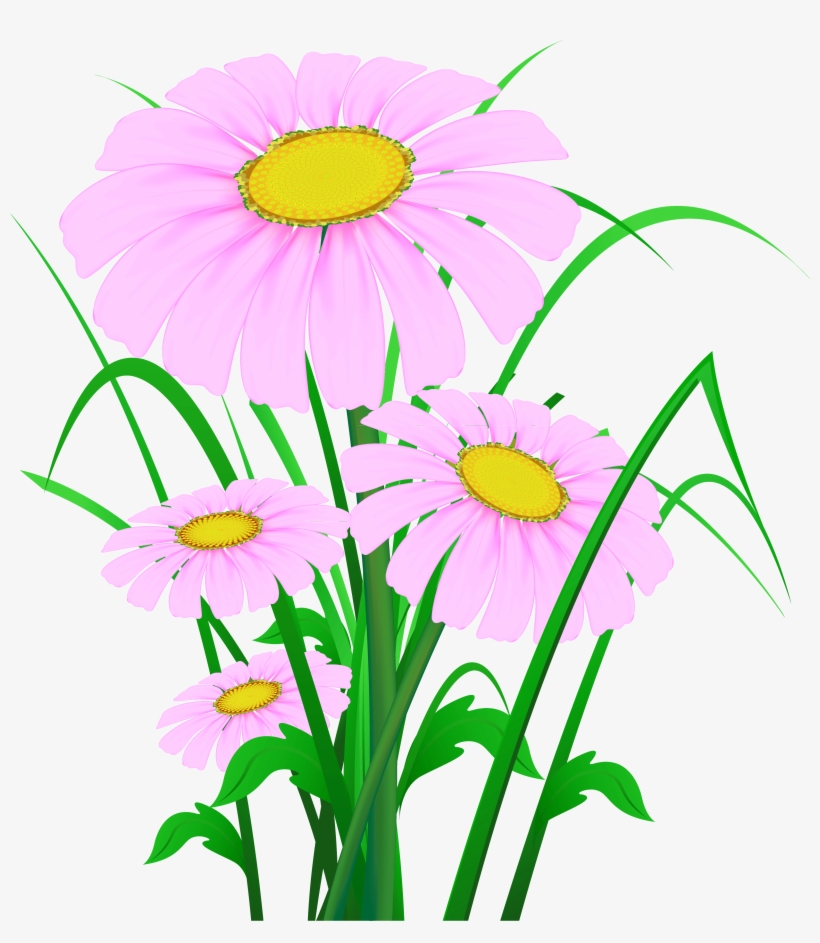 Transparent Pink Daisies Png Clipart - Clipart With Transparent Background Wildflowers, transparent png download