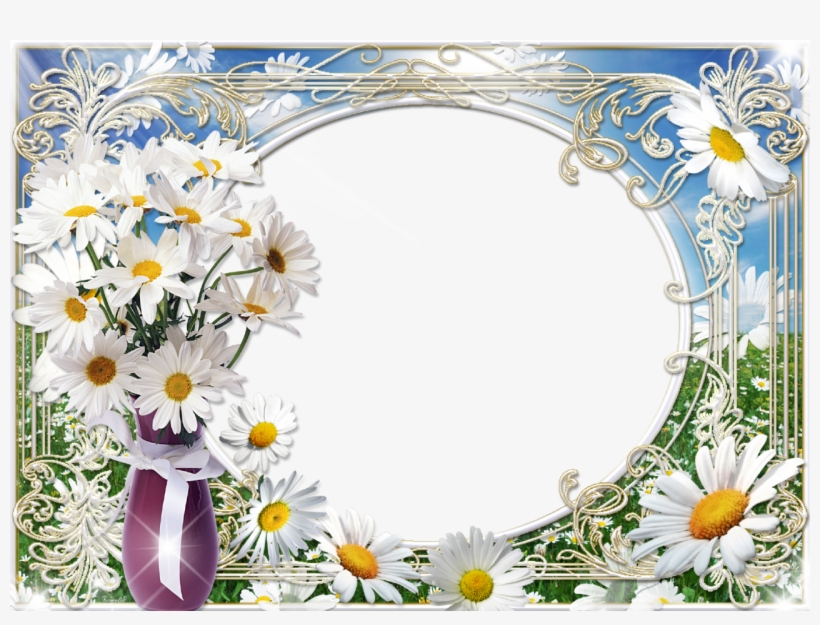 Summer Photo Frame Bouquet Of Daisies - Natural Wellness Strategies For Pregnancy By Laurel, transparent png download