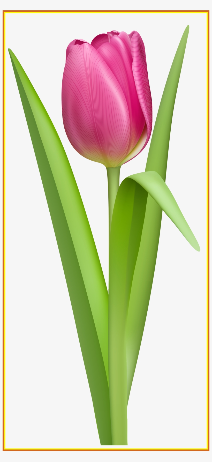 Inspiring Best Daisies Quotes - Tulpe Clipart, transparent png download