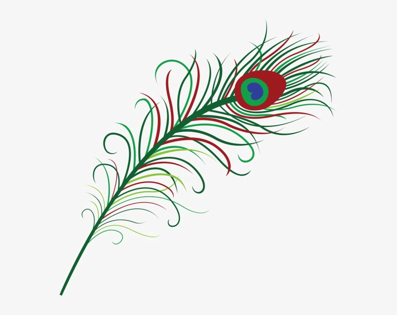 Peacock Feather Png Photo - Peacock Feather Clipart Png, transparent png download