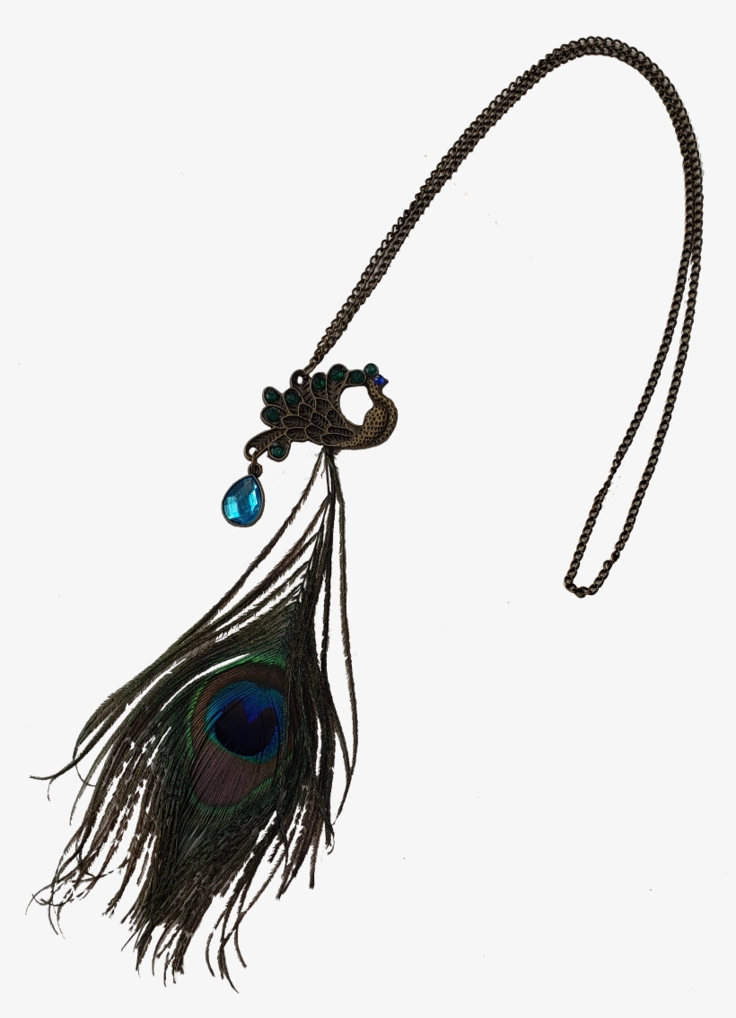 Exotica Peacock Feather Necklace - Necklace, transparent png download