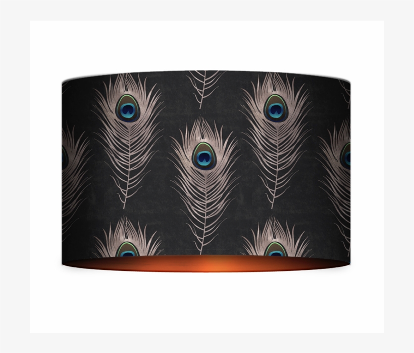 Feather, transparent png download