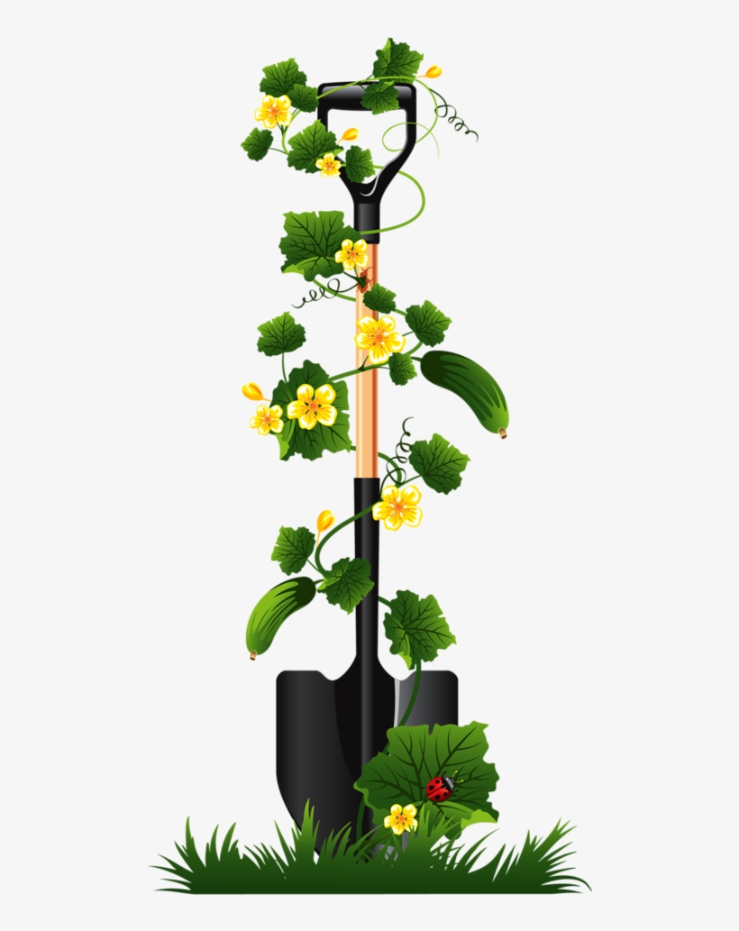 Image Library Library Gardener Clipart Plant Seedling - Aihitech Solar Automatic Watering Flowers System With, transparent png download