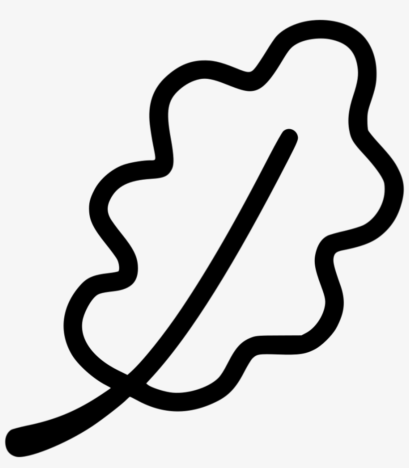 Oak Leaf - - Hoja De Roble Png, transparent png download