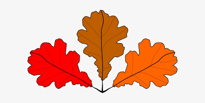 Download How To Set Use 3 Oak Leaves Svg Vector Transparent PNG ...