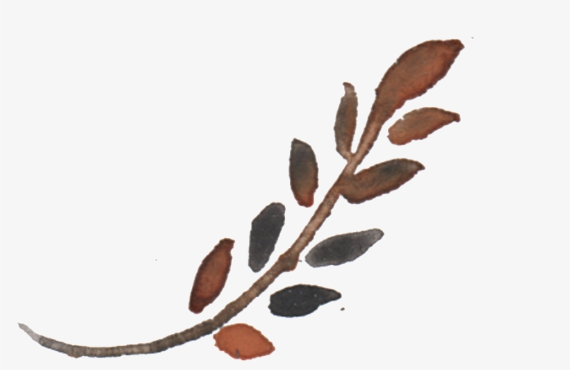 Twig, transparent png download