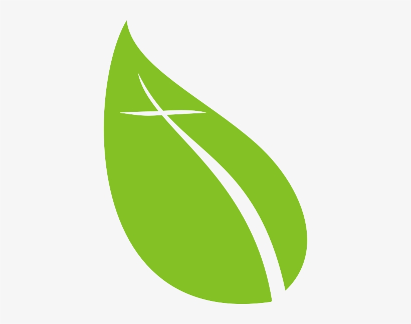 Oak Grove Leaf - Kentucky, transparent png download