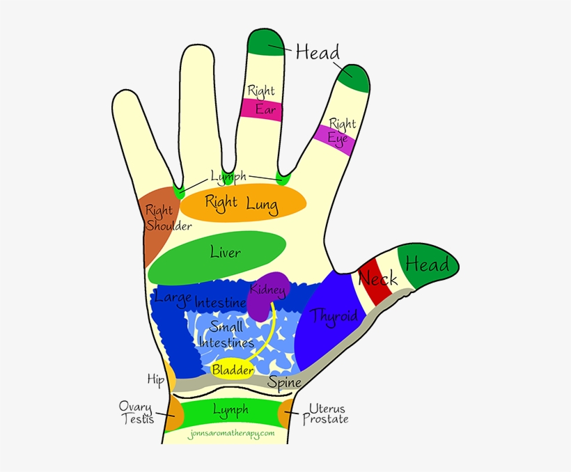 All Of The Reflexology Images Of Hands And Feet Shown - Massaging Points On Hands, transparent png download