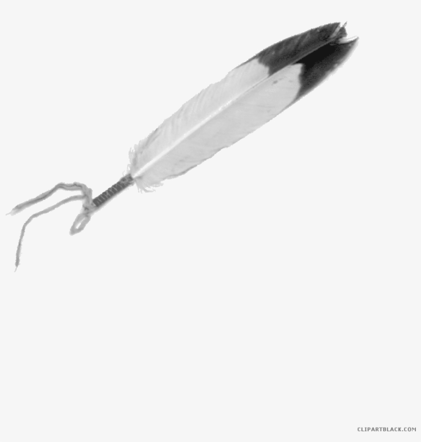 Eagle Page Of Clipartblack Com Animal Free - Eagle Feather, transparent png download