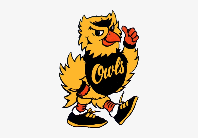 Old Kennesaw State Owl, transparent png download