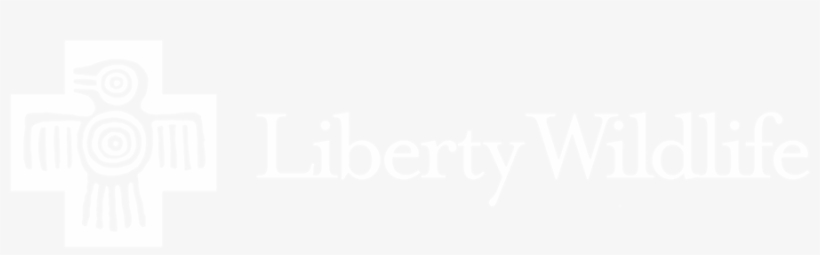 Liberty Wildlife - Sixty Red Folded Notes, transparent png download