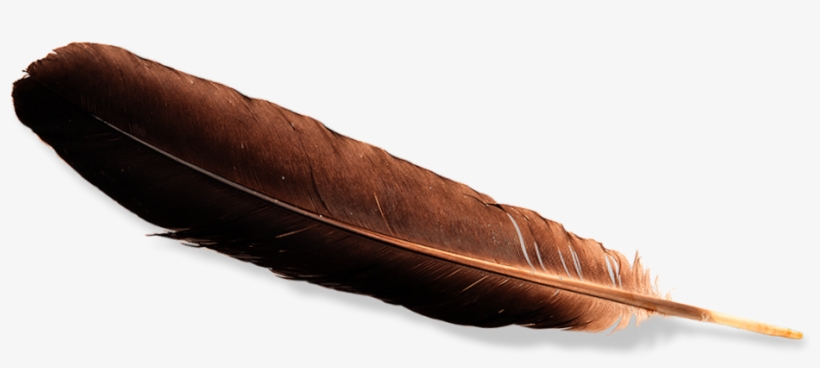 Eagle Feather Silhouette
