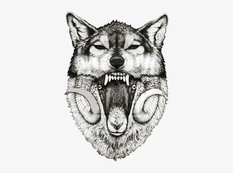 Trans Par En T - Wolf And Sheep Drawing, transparent png download