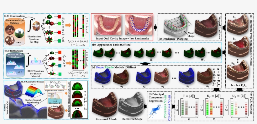 Block Diagram Of The Proposed Model-based Human Jaw - Outdoor Shoe, transparent png download
