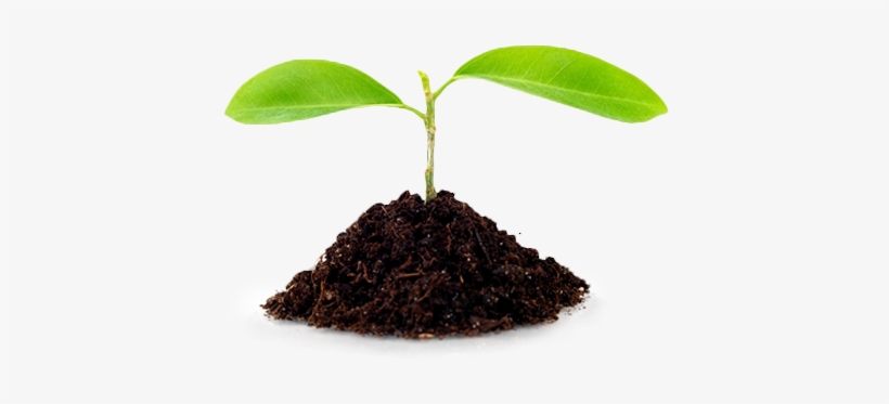 Sustainability - “ - Soil, transparent png download