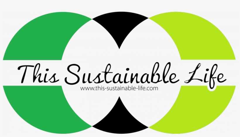 Reflection On The Concept Of Sustainability - Sustainable Life, transparent png download
