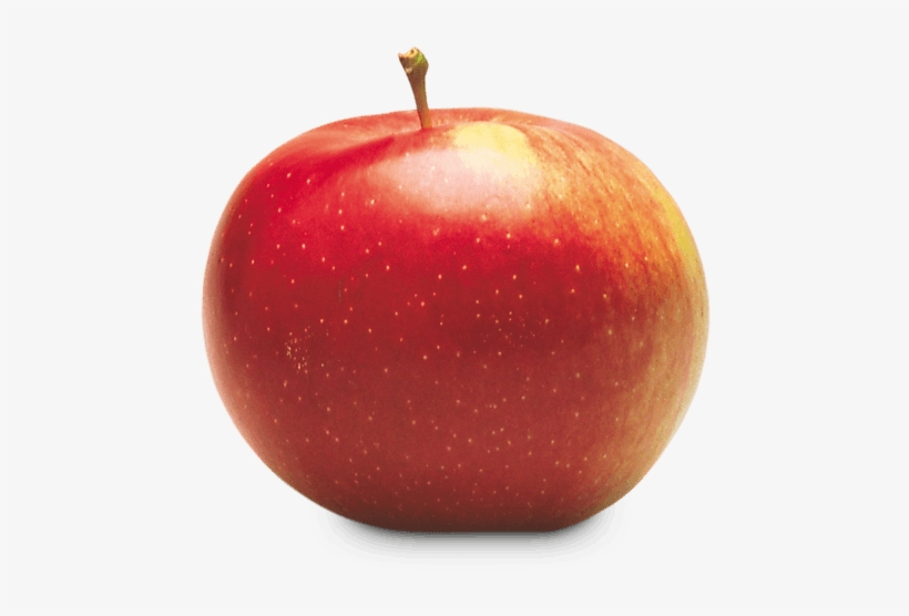 Empire - Empire Apple Png, transparent png download