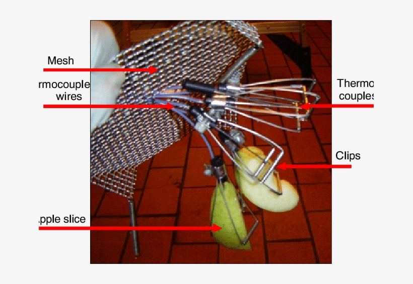 Attachment Of Apple Slices To The Thermocouples For - Heat, transparent png download