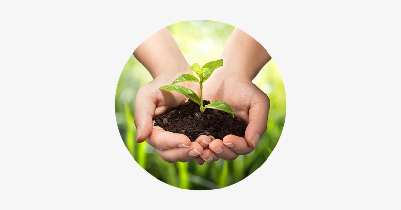 Sustainability Hand, transparent png download