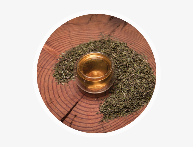 Peppermint, transparent png download