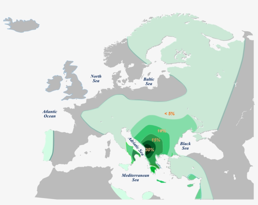 File - Hge1b1b1a2 - V13 Haplogroup, transparent png download