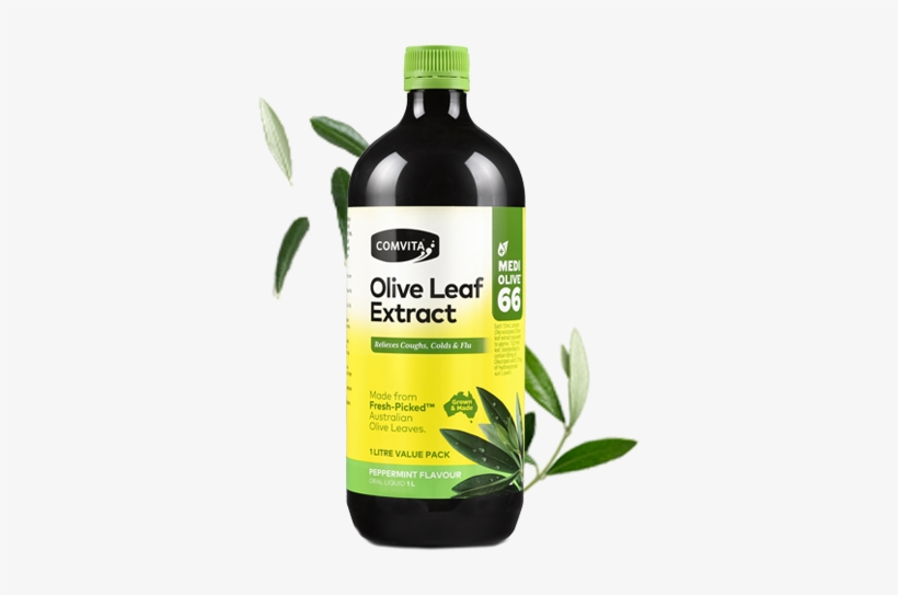 Shop Peppermint Flavour 1l - Olive Leaf Extract 1l, transparent png download