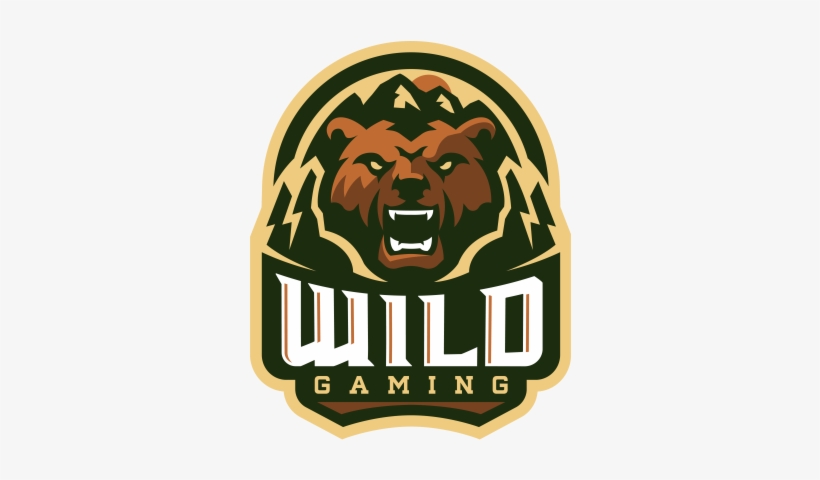 Global Offensive - Wild Gaming, transparent png download