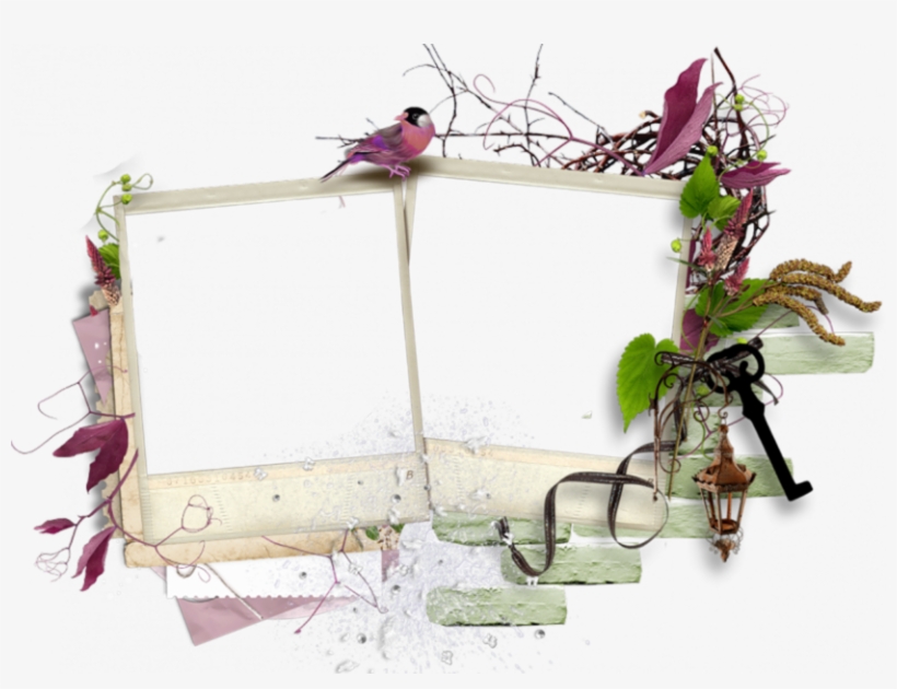 Polaroid Flower Frame - Png Frame, transparent png download