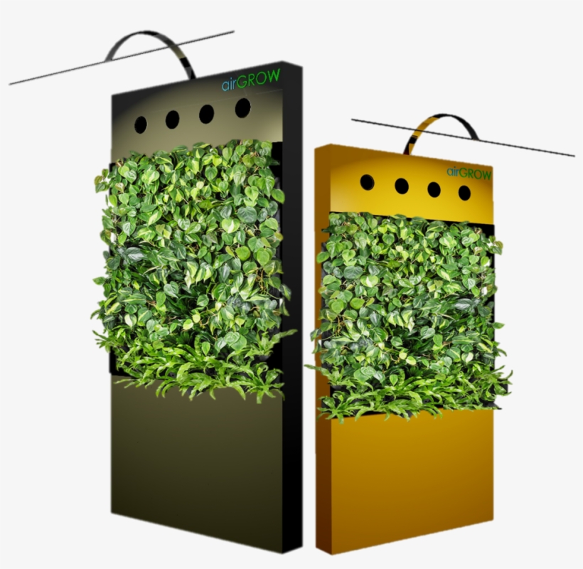 A - Green Wall, transparent png download
