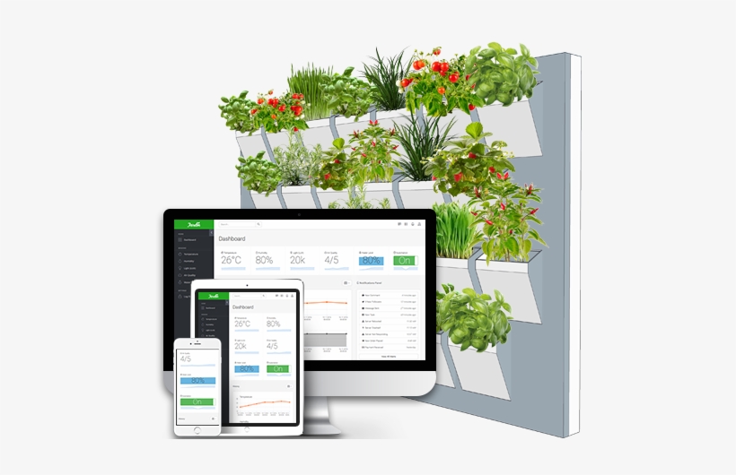 Click & Grow Refill - Basil, transparent png download