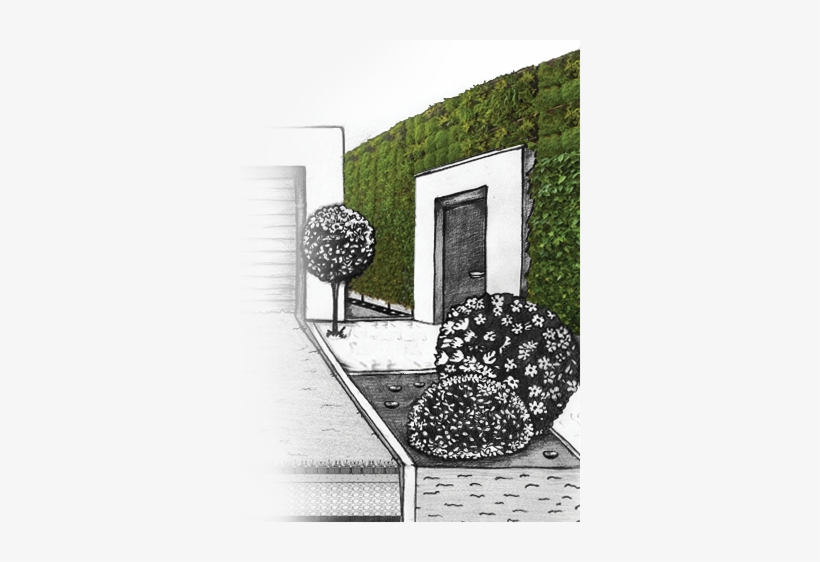 Wall, transparent png download