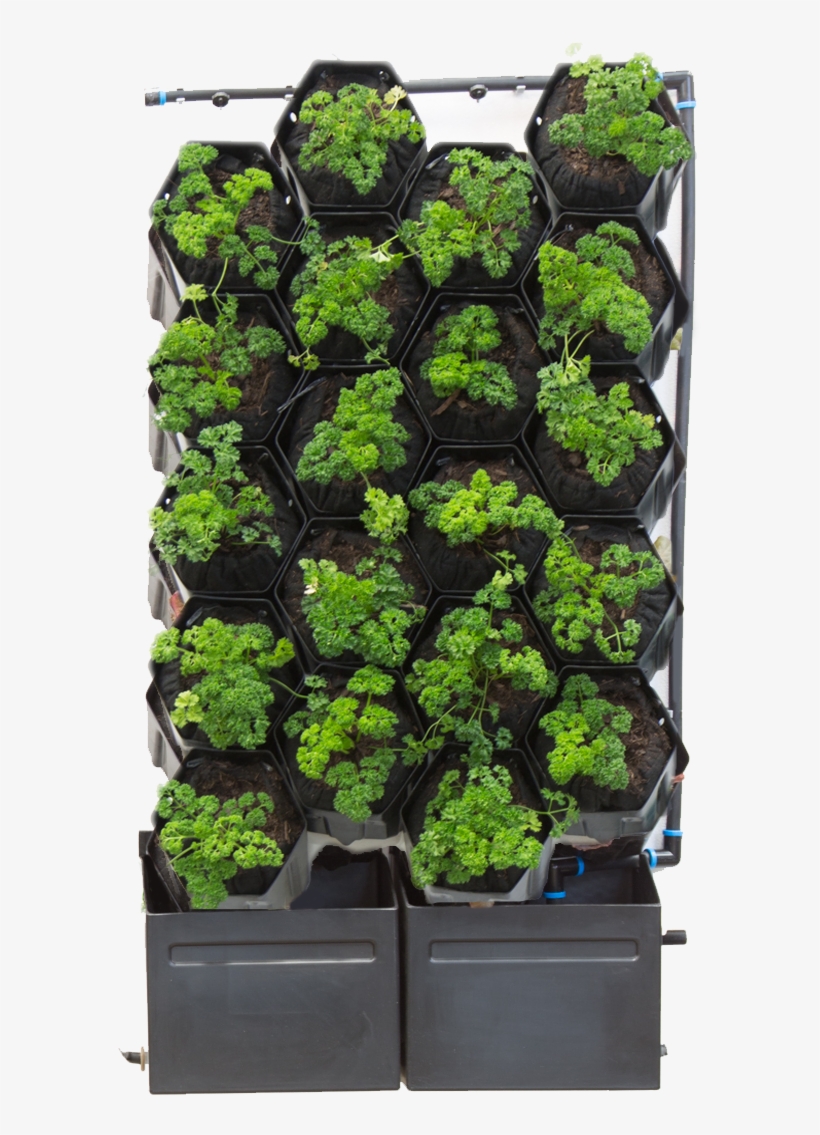 20 Pot Green Wall - Automated 2, transparent png download